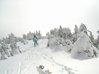 f0065126_17425872.jpg