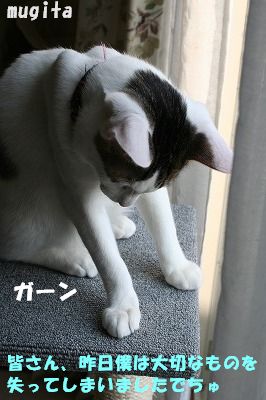 f0063729_15524677.jpg
