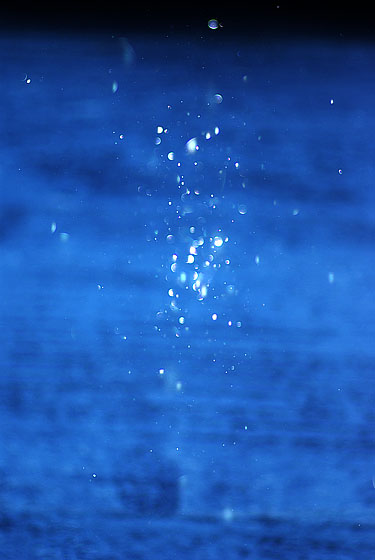 e0025030_1759745.jpg