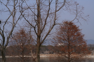 f0110840_8131387.jpg