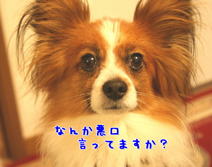 d0013149_052167.jpg
