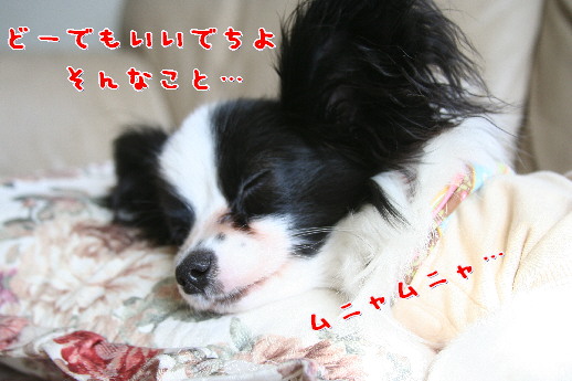d0013149_0595212.jpg