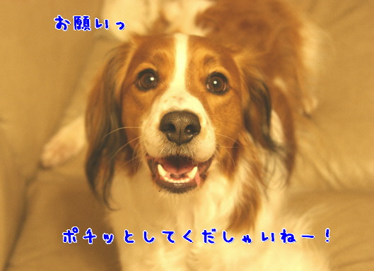 d0013149_154643.jpg