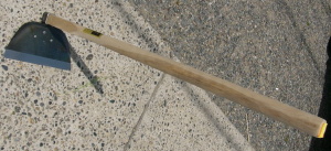 f0000655_11281294.jpg