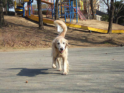 c0097558_17312770.jpg
