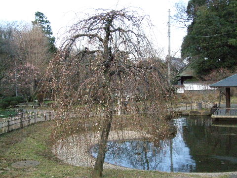 a0009666_14282251.jpg