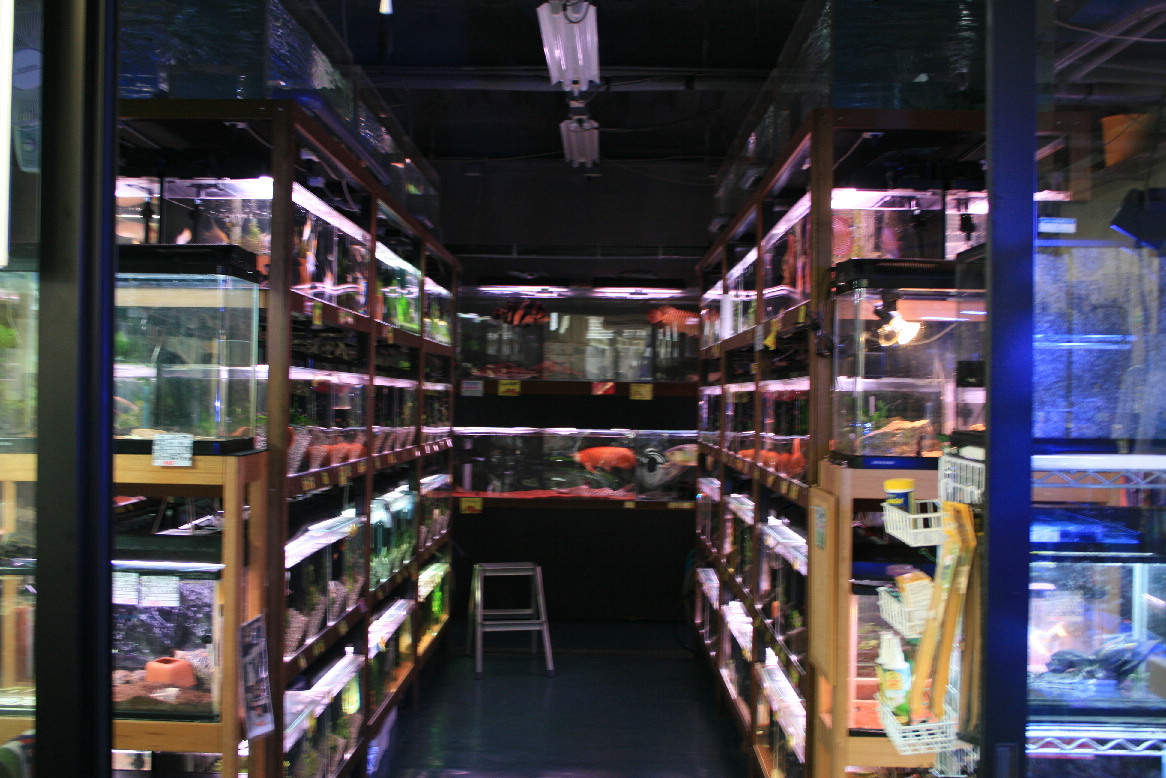 d0090170_22103398.jpg
