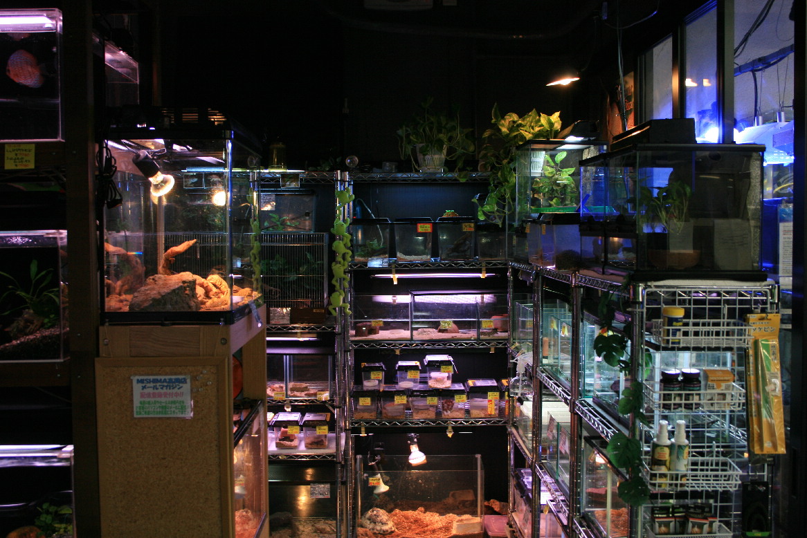 d0090170_2215159.jpg