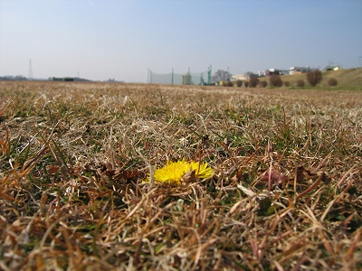 c0091679_275040.jpg