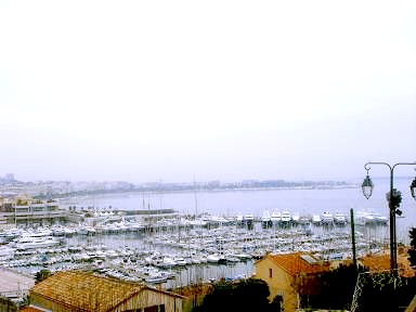 d0010182_8555183.jpg