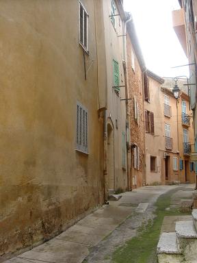 d0010182_925931.jpg