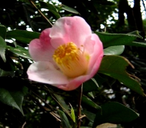 d0003284_16244935.jpg