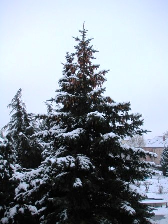 c0076387_239846.jpg