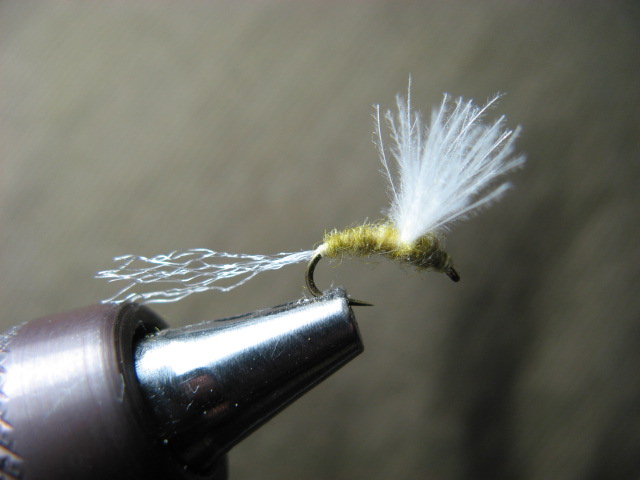b0092694_23175592.jpg