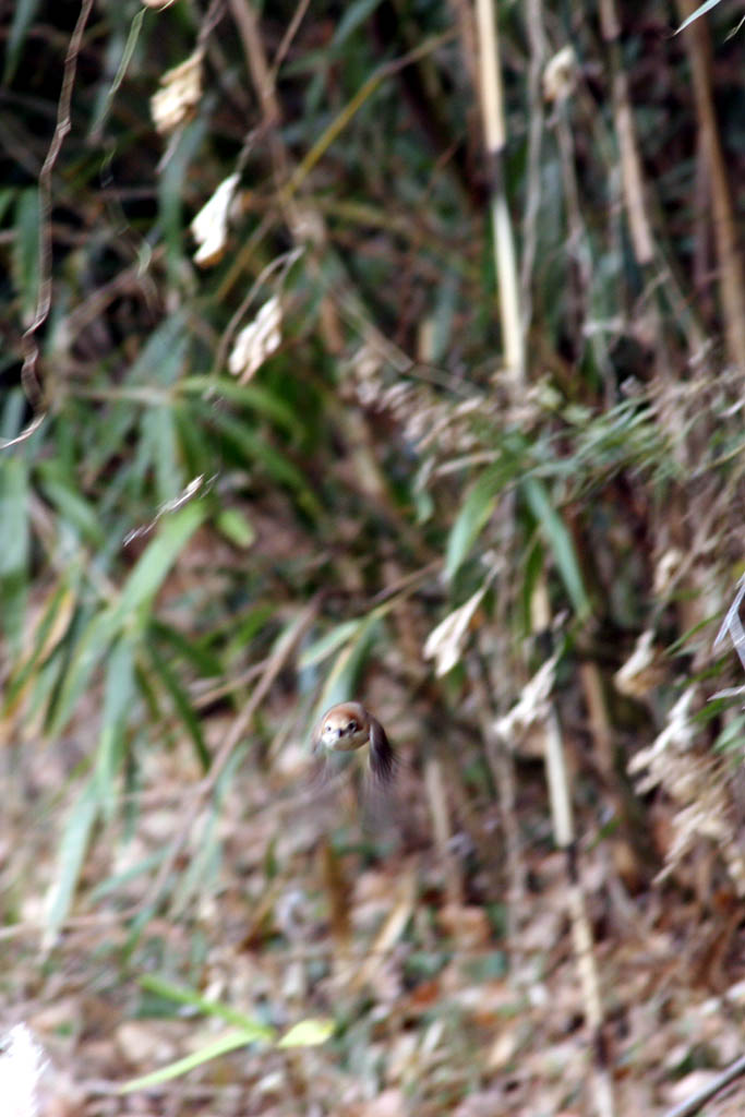 d0085715_0059.jpg