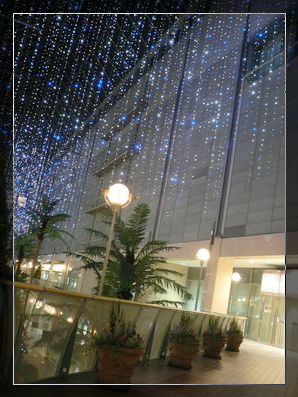a0028719_2061685.jpg