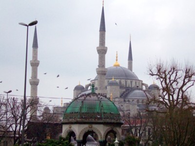 e0038819_17305646.jpg
