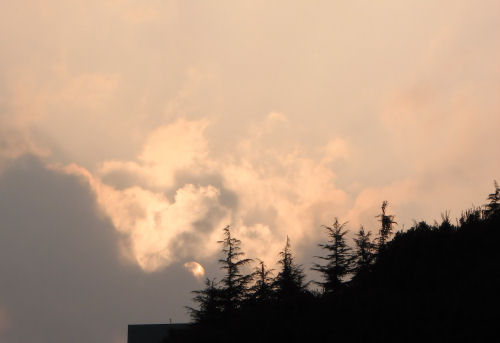 e0115526_1992431.jpg