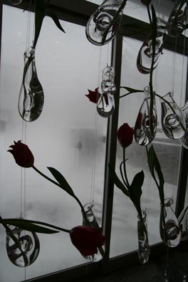 f0045630_18514944.jpg