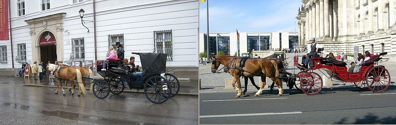 d0103632_20515966.jpg