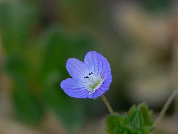 e0083238_20451681.jpg