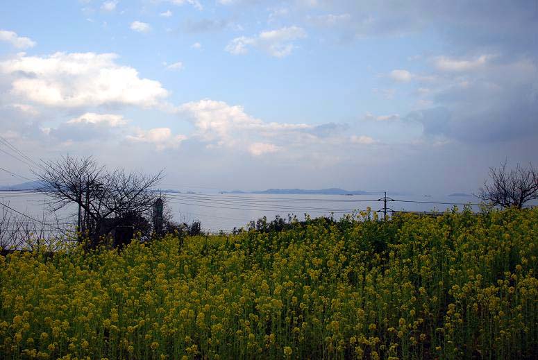 b0075541_2148354.jpg