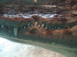 e0028056_959538.jpg