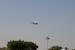 e0047361_3207.jpg