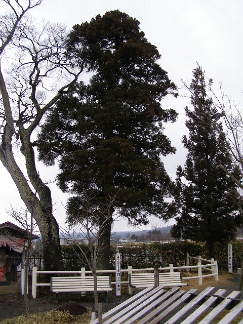e0078069_13384032.jpg