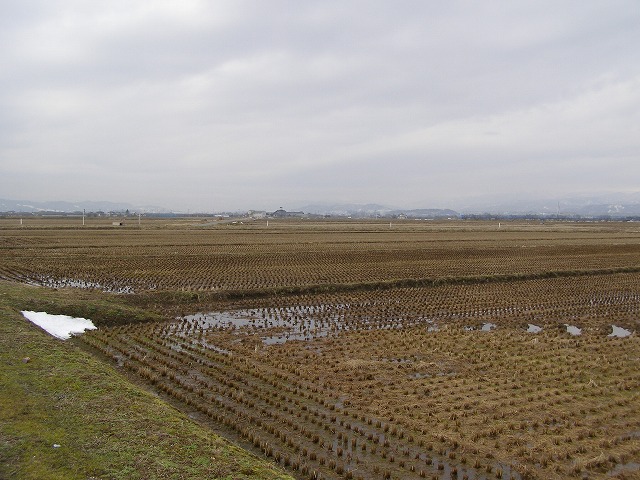e0078069_13501522.jpg