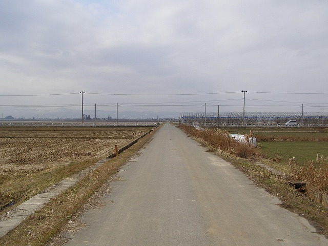 e0078069_1350965.jpg