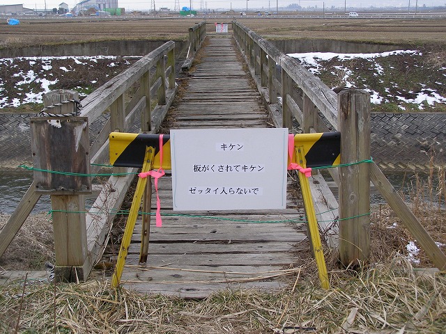 e0078069_1711280.jpg