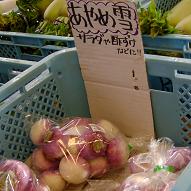 a0091680_23050100.jpg