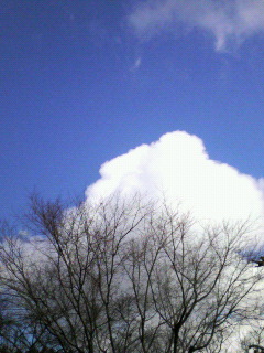 c0082785_14223838.jpg
