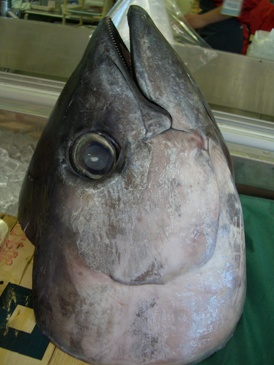 f0125585_9173681.jpg