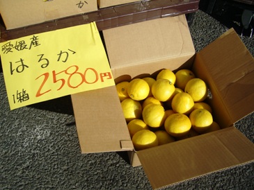 f0125585_9221639.jpg
