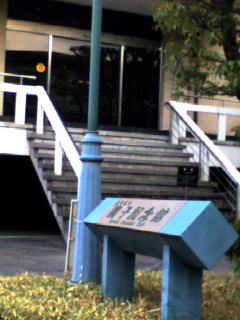 a0064290_1301183.jpg