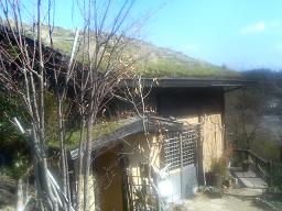 c0088395_16541062.jpg