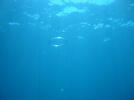 d0098399_22121484.jpg