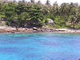 d0098399_2218558.jpg