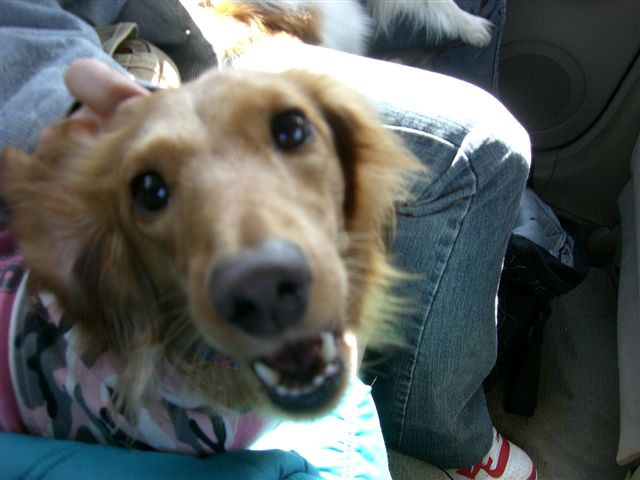c0087001_21505649.jpg