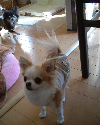 a0079803_20554268.jpg