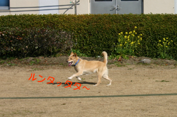 a0041108_13201031.jpg