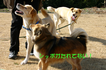 a0041108_13292734.jpg