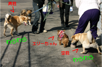 a0041108_13325185.gif