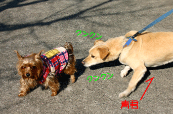 a0041108_1336722.gif