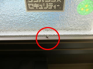 f0054411_0562051.jpg