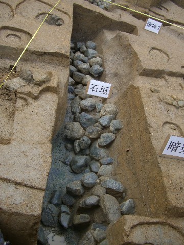 d0007913_105358.jpg