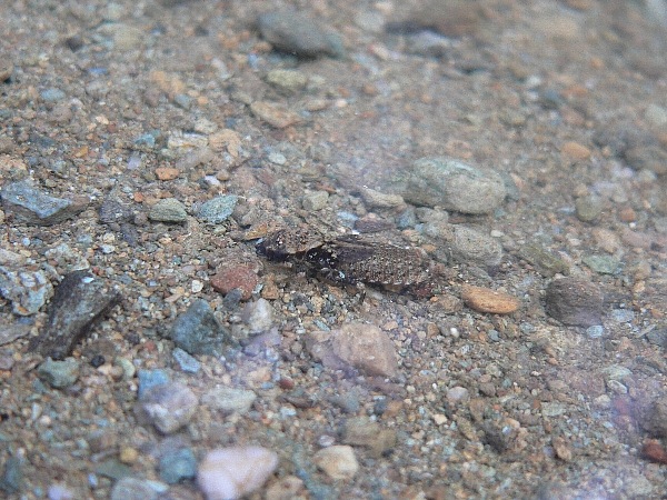 e0002314_21262457.jpg
