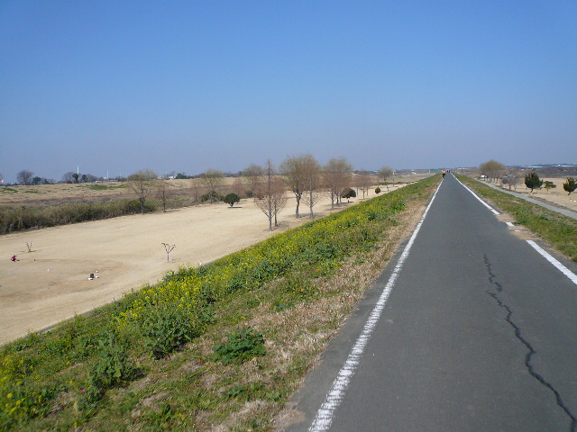 a0077616_15504141.jpg